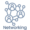 networking icon