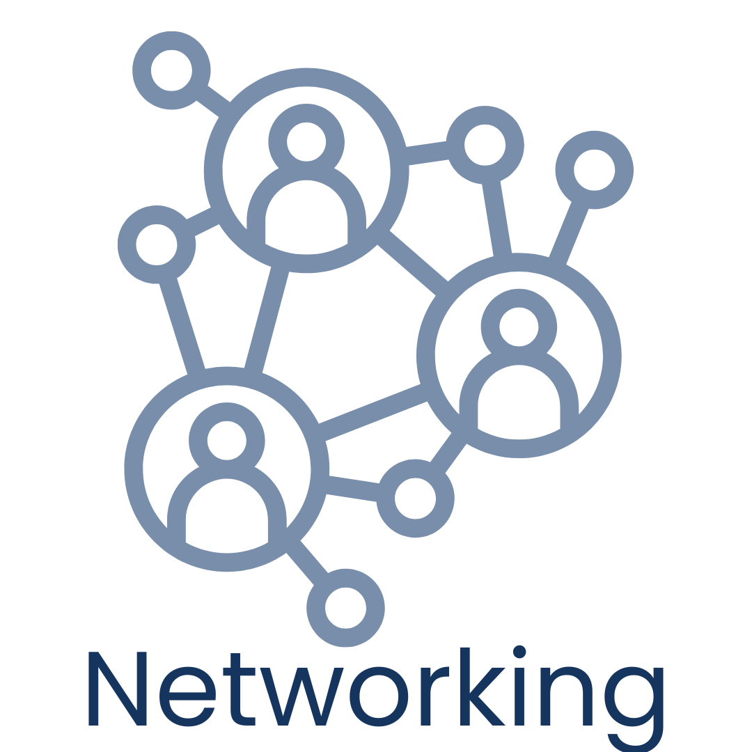 networking icon